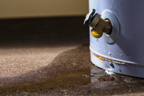  Grand Canyon Village, AZ Water damage restoration Pros