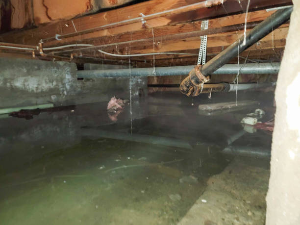 Best Local water damage restoration  in Grand Canyon Village, AZ