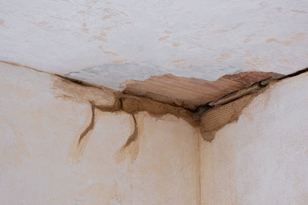 Best Carpet water damage restoration  in Grand Canyon Village, AZ
