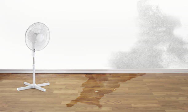 Best Flood restoration services  in Grand Canyon Village, AZ