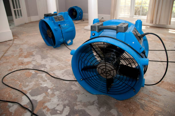 Best Residential water damage restoration  in Grand Canyon Village, AZ