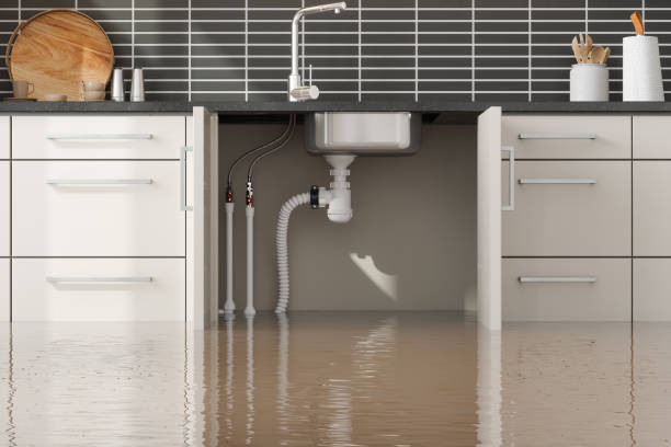 Best Basement water damage restoration  in Grand Canyon Village, AZ