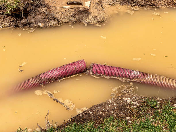 Best Local water damage restoration  in Grand Canyon Village, AZ