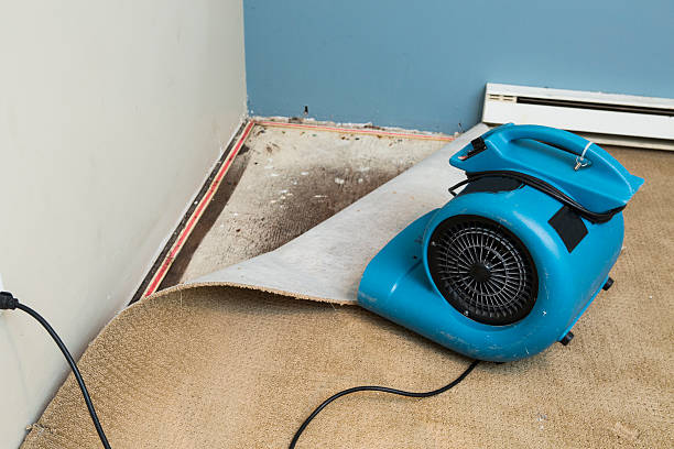 Water damage restoration mold remediation in AZ